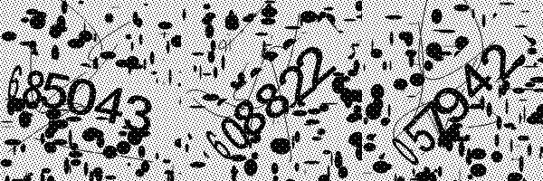 Please enable image downloads in your browser.