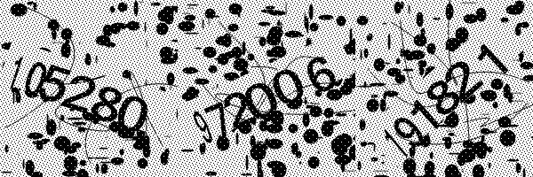 Please enable image downloads in your browser.